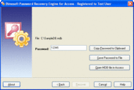 Password Recovery Engine for Access screenshot